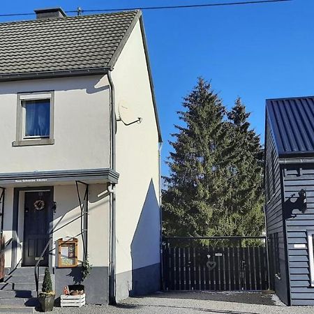 Вилла Haus Schneider Kaetchen Deudesfeld Экстерьер фото